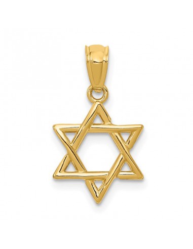 14k Yellow Gold Star of David Charm les ligaments