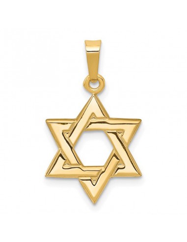 14k Yellow Gold 23MM Star of David Charm En savoir plus