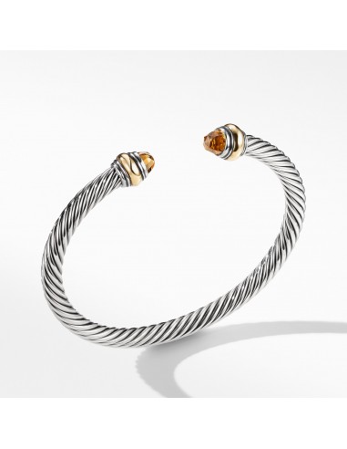 David Yurman 5MM Cable Classic Bracelet with Citrine and Gold le concept de la Pate a emporter 