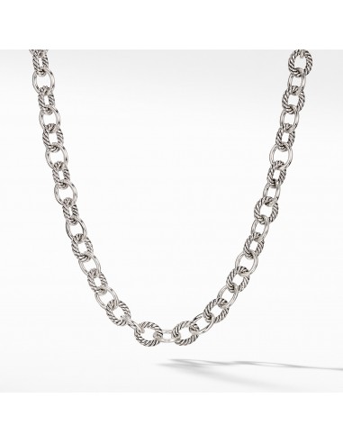 Oval Medium Link Necklace la chaussure