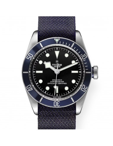 Pre-owned Tudor Black Bay Blue Bezel 41mm M79230B Les magasins à Paris